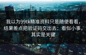 我以为99tk精准资料只是随便看看，结果差点把验证码交出去：看似小事，其实是关键