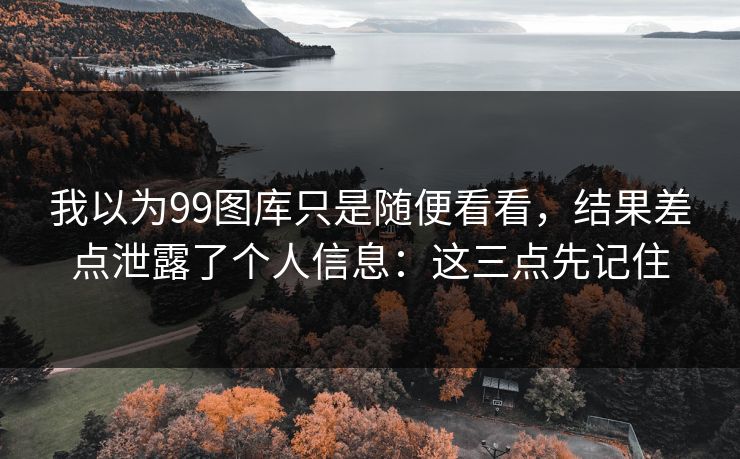 我以为99图库只是随便看看，结果差点泄露了个人信息：这三点先记住